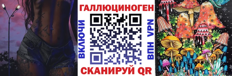 Купить закладки  Химки  Галлюциногенные грибы Psilocybe 